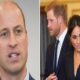 EXCLUSIVE: Meghan Markle doubts Prince William's intentions as Harry prepares UK return