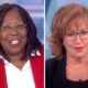 NEWS IN: ABC Refuses To Renew Whoopi And Joy’s Contracts For ‘The View,’ ‘No More Toxic People In The Show’