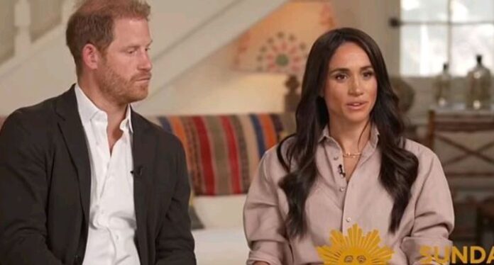 Very Sad: Meghan Markle, Prince Harry open up about cyber abuse, 'suicide'