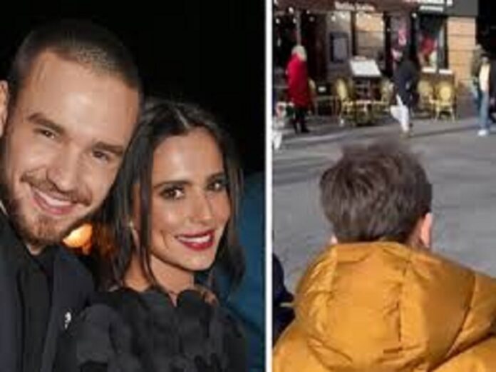 REVELED: Liam Payne is set to bequeath millions in assets to his only son after his death can be termed as ... See More